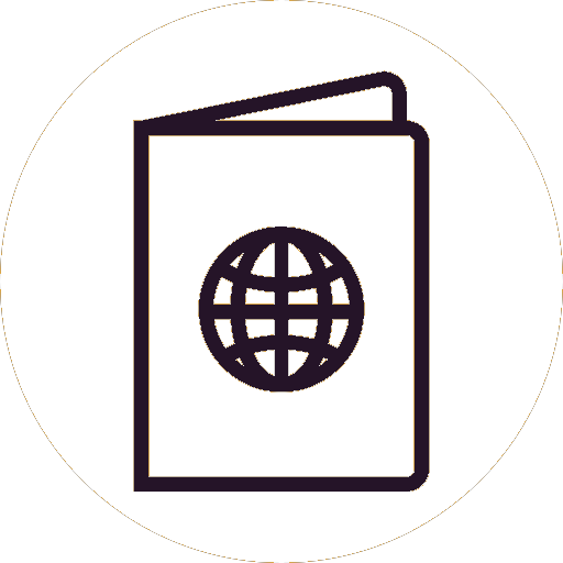 visa-icon